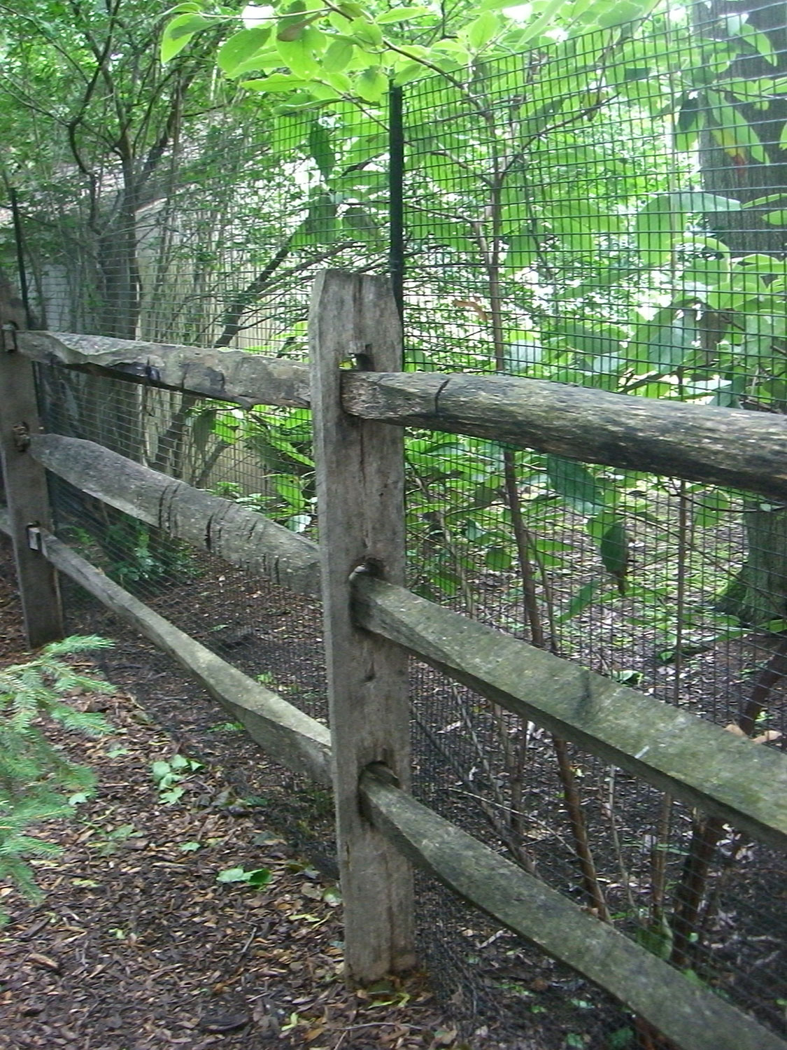image01