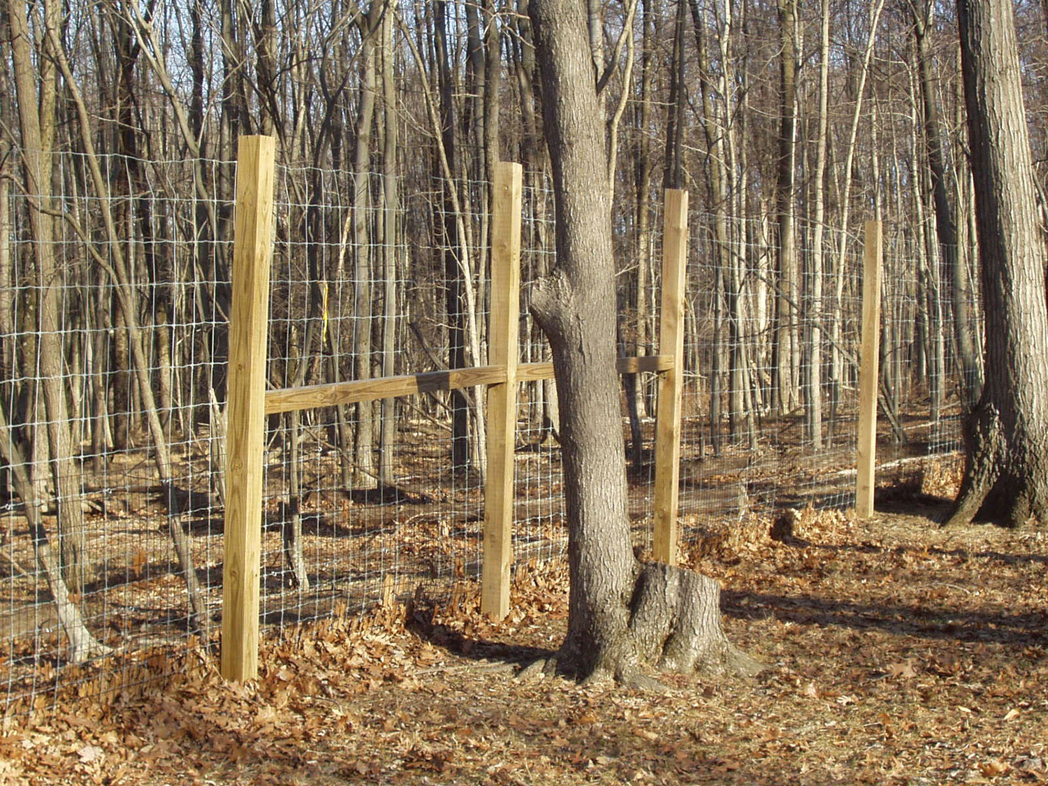 image01