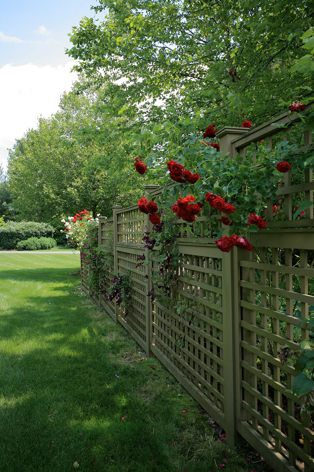 image01