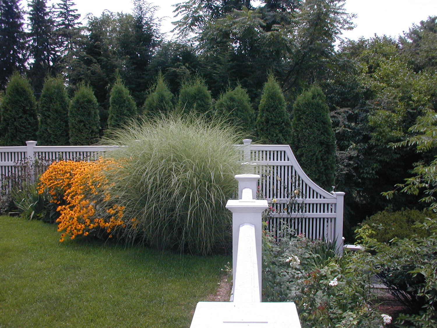 image01