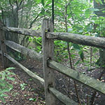 image01