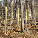 image01