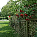 image01