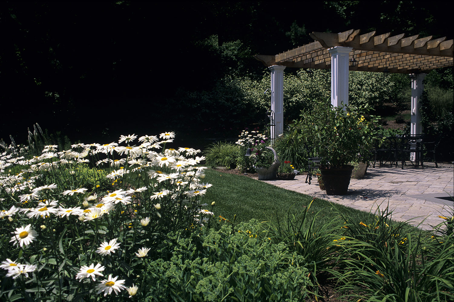 image01