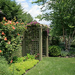 image01