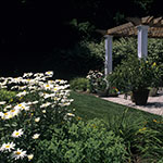 image01