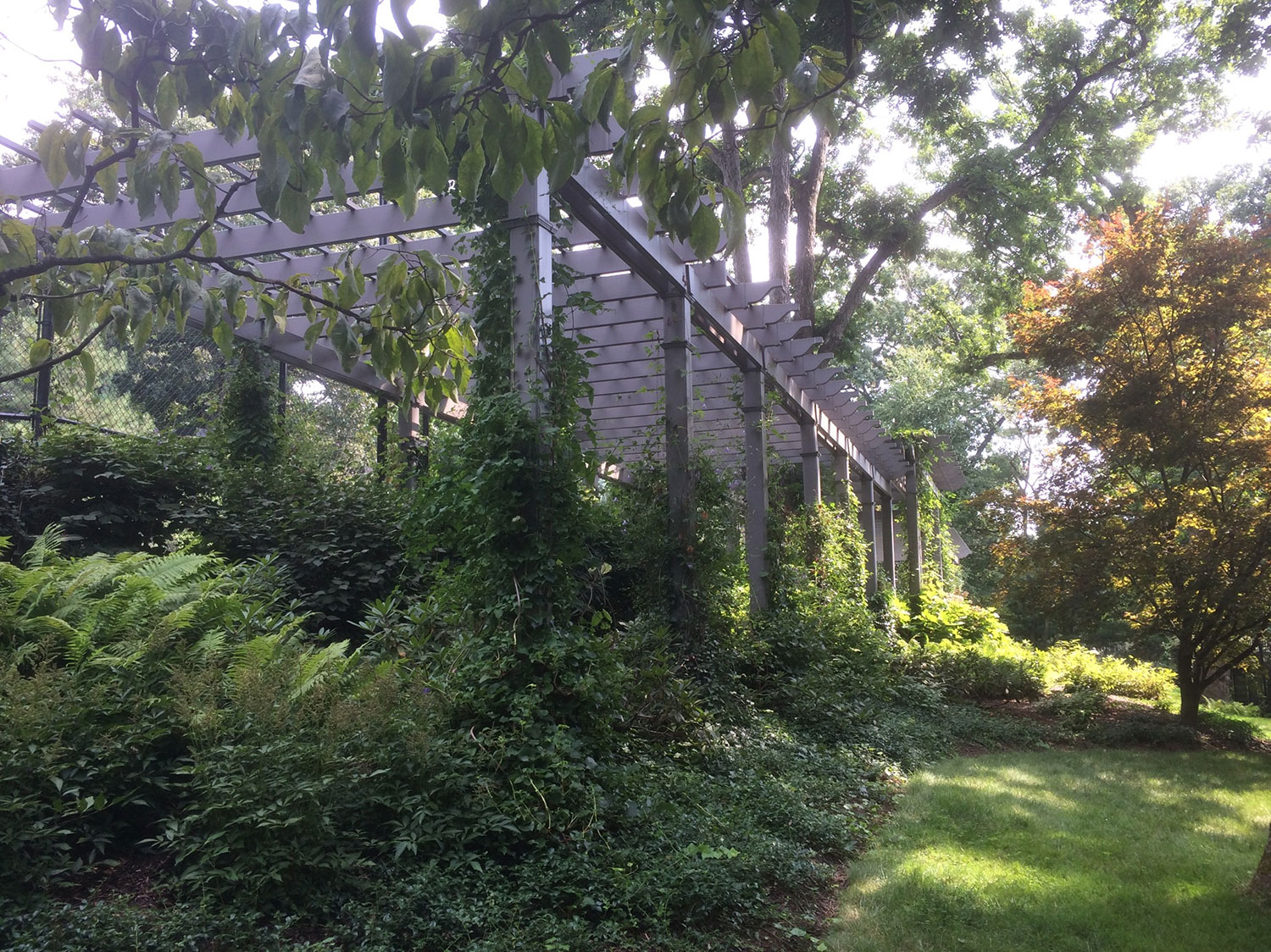 image01