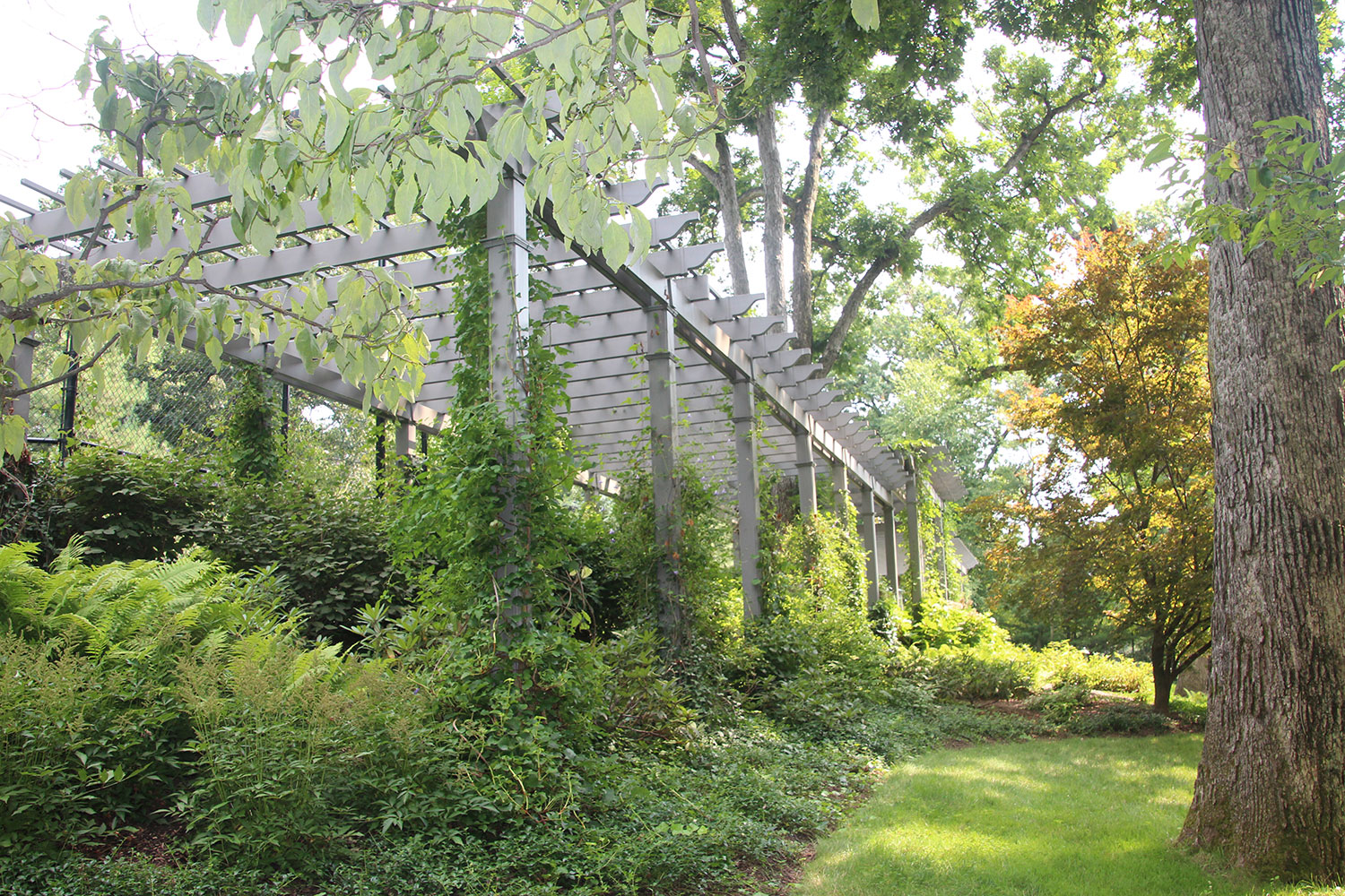 image01