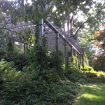 image01