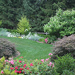 image01