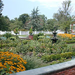 image01