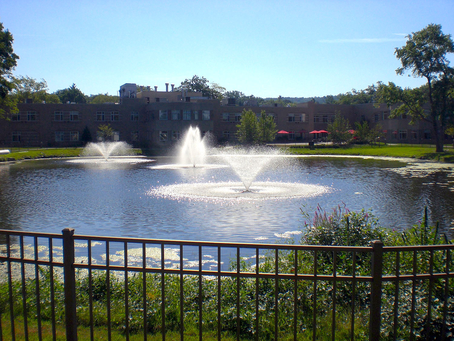 image01