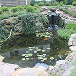image01