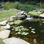 image01