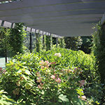image01